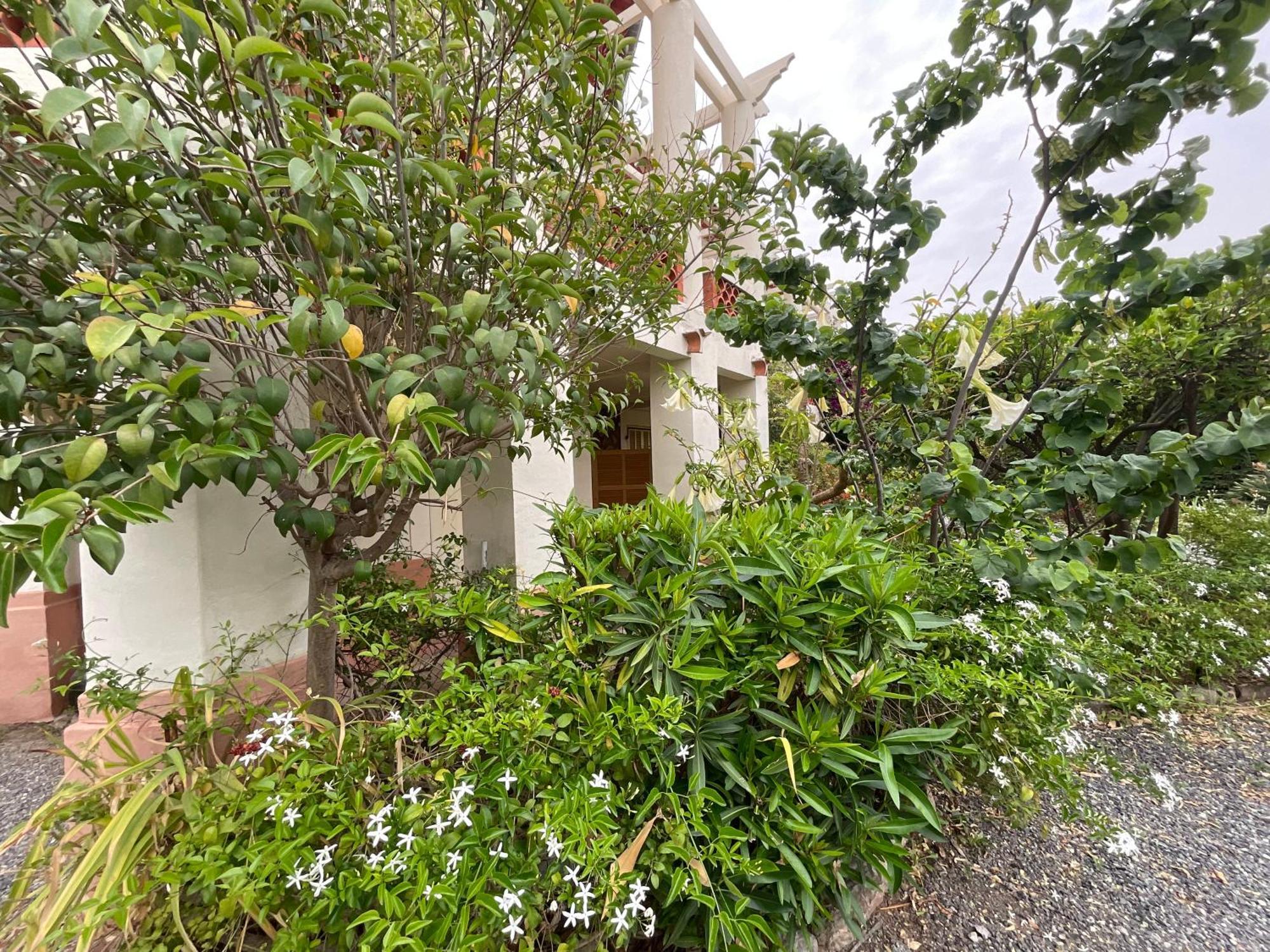 Villa La Provence Єр Екстер'єр фото